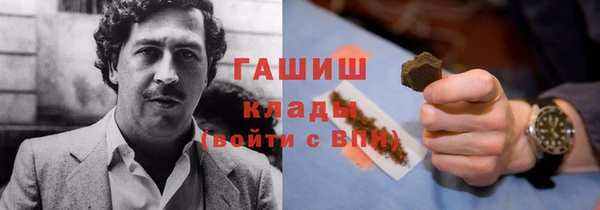 крисы Алзамай
