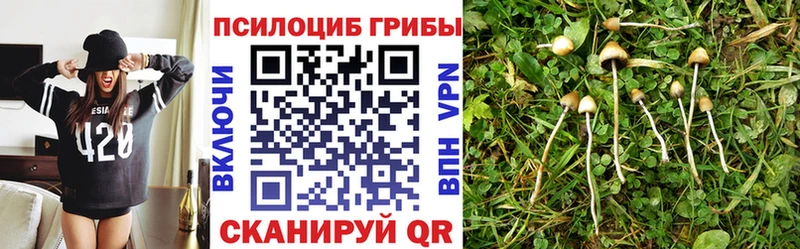 Галлюциногенные грибы мицелий  гидра вход  Дудинка 